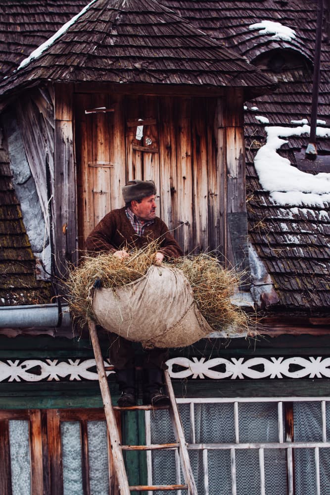 Rustic Winter Hay Haul by Sebastian Prioteasa — canvas wall art
