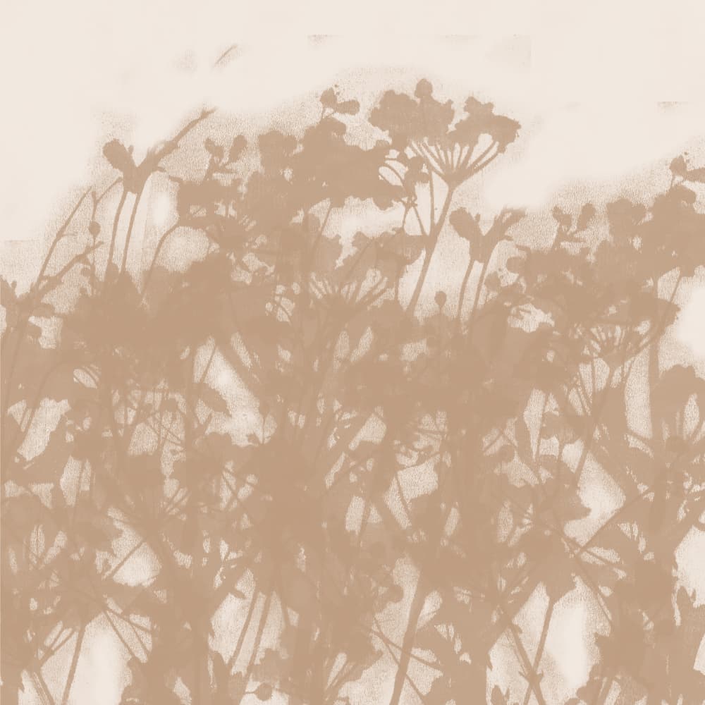 Soft Botanical Shadows by Dina Dankers — canvas wall art