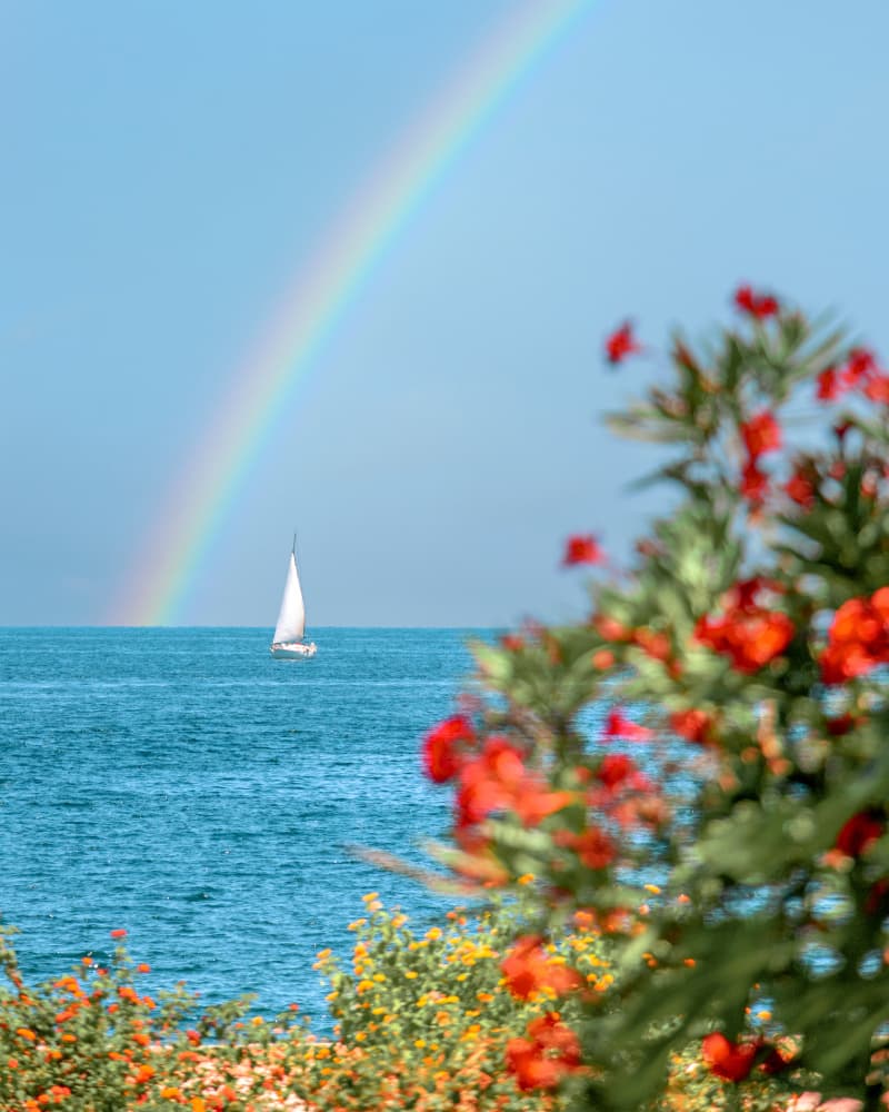 Sailboat Under Rainbow by Gabor Estefan — canvas wall art