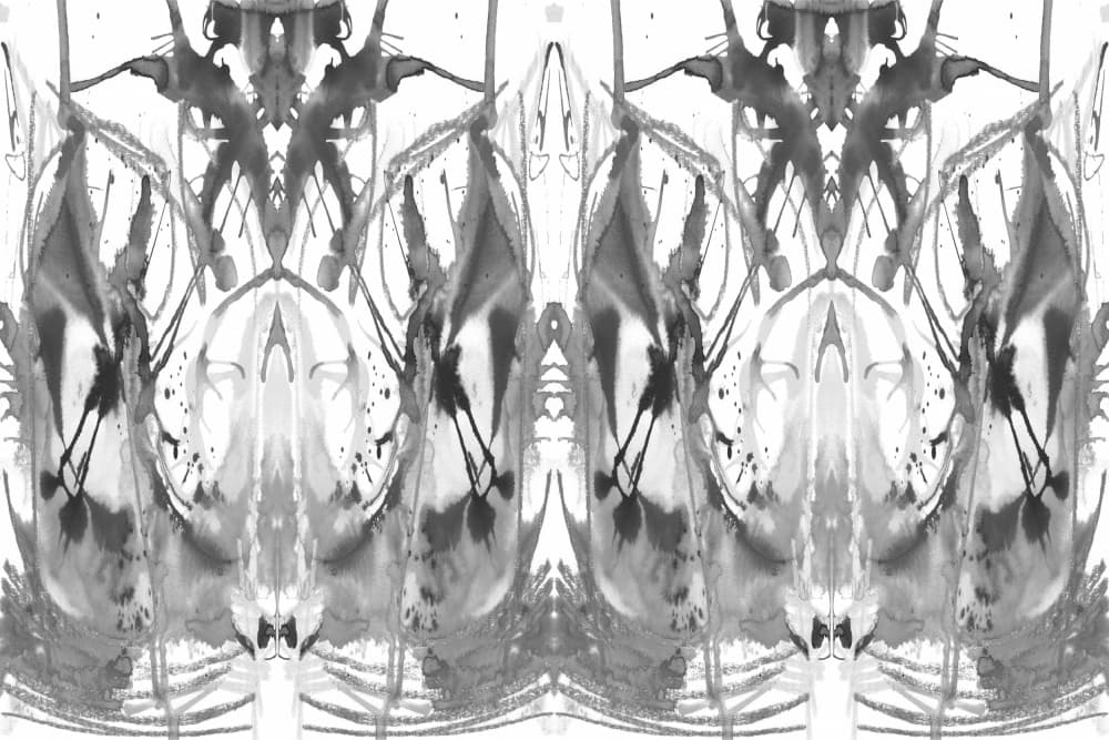 Monochrome Inkblot Symmetry by Jemma Morris — canvas wall art