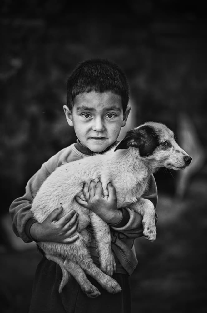 Tender Boy Puppy Bond by Desislava Ignatova — canvas wall art