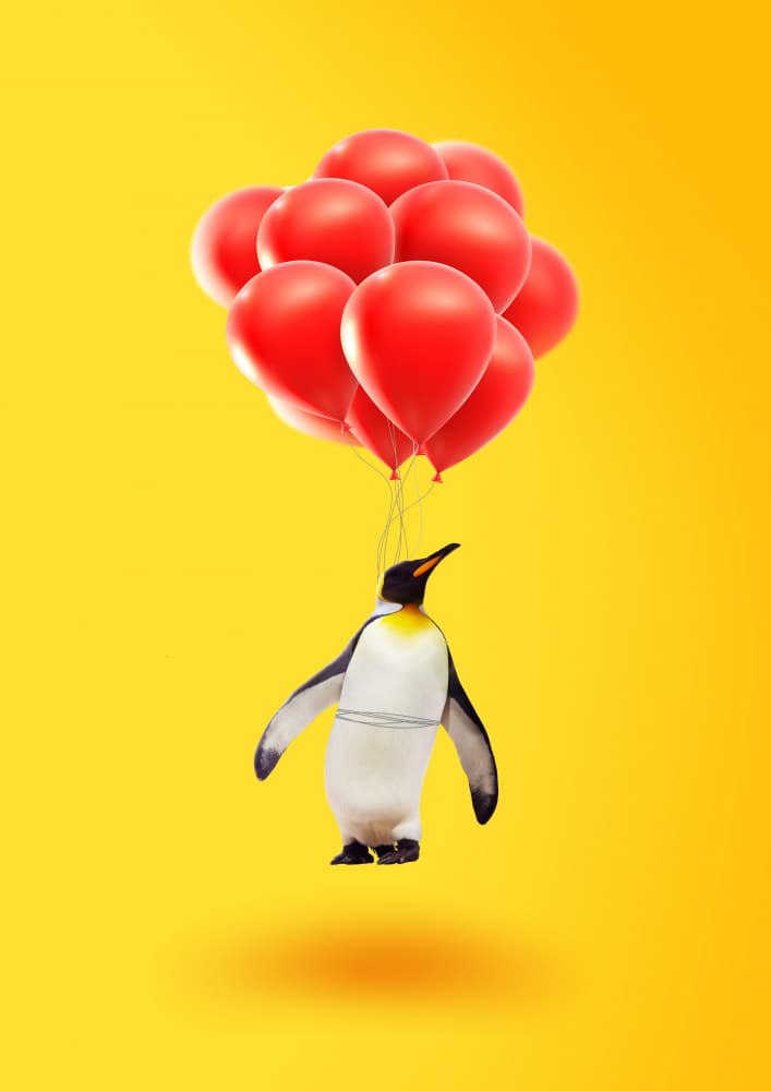 Whimsical Flying Penguin by Artem Pozdniakov — canvas wall art