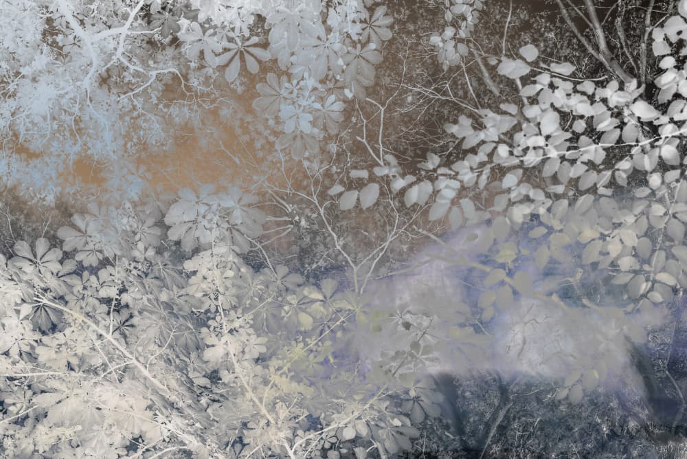 Ethereal Forest Canopy by Imaginative — canvas wall art
