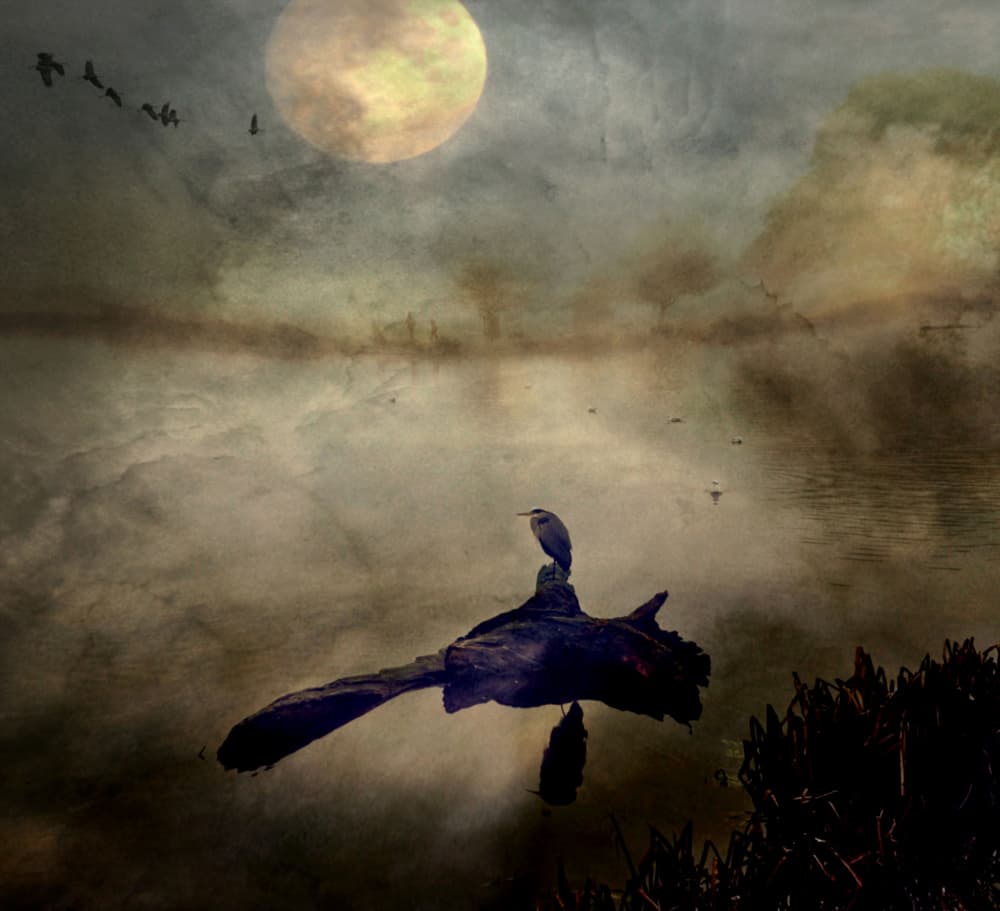 Serene Moonlit Heron by Robert Fabrowski — canvas wall art