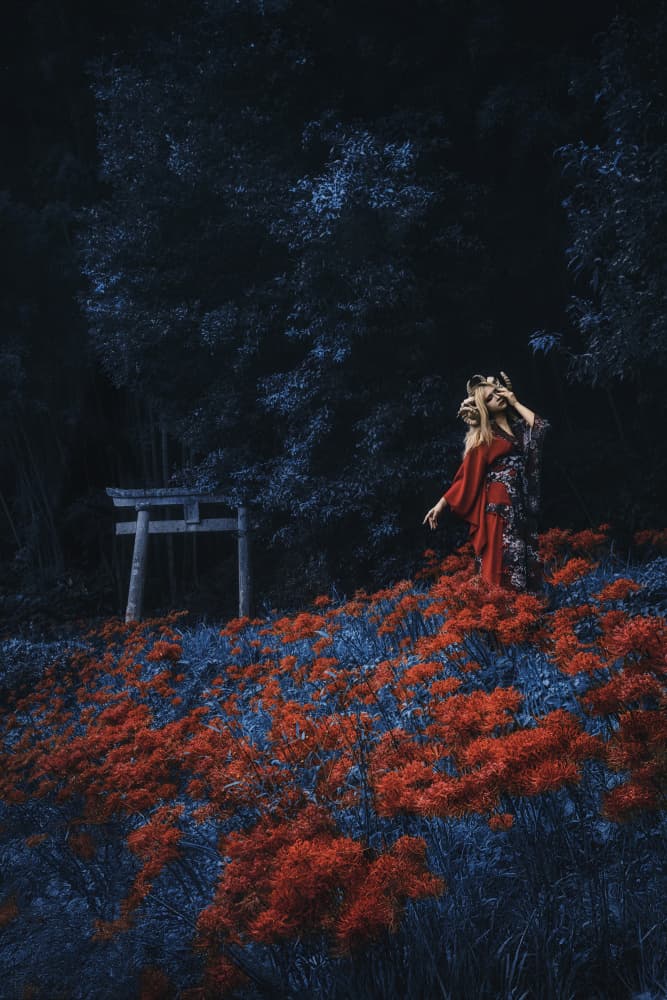 Kitsune Forest Gate by KOIKI — canvas wall art