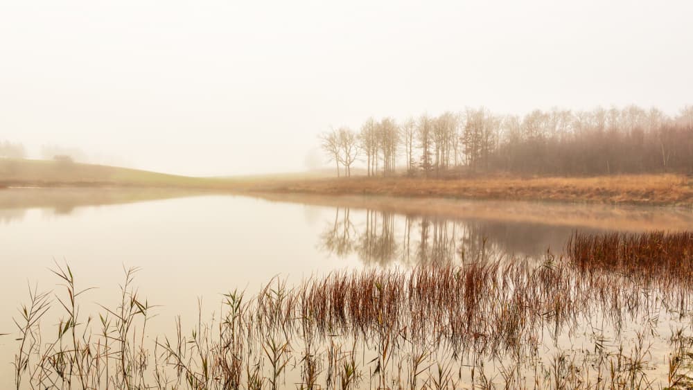 Calm lake by Leif Løndal — canvas wall art