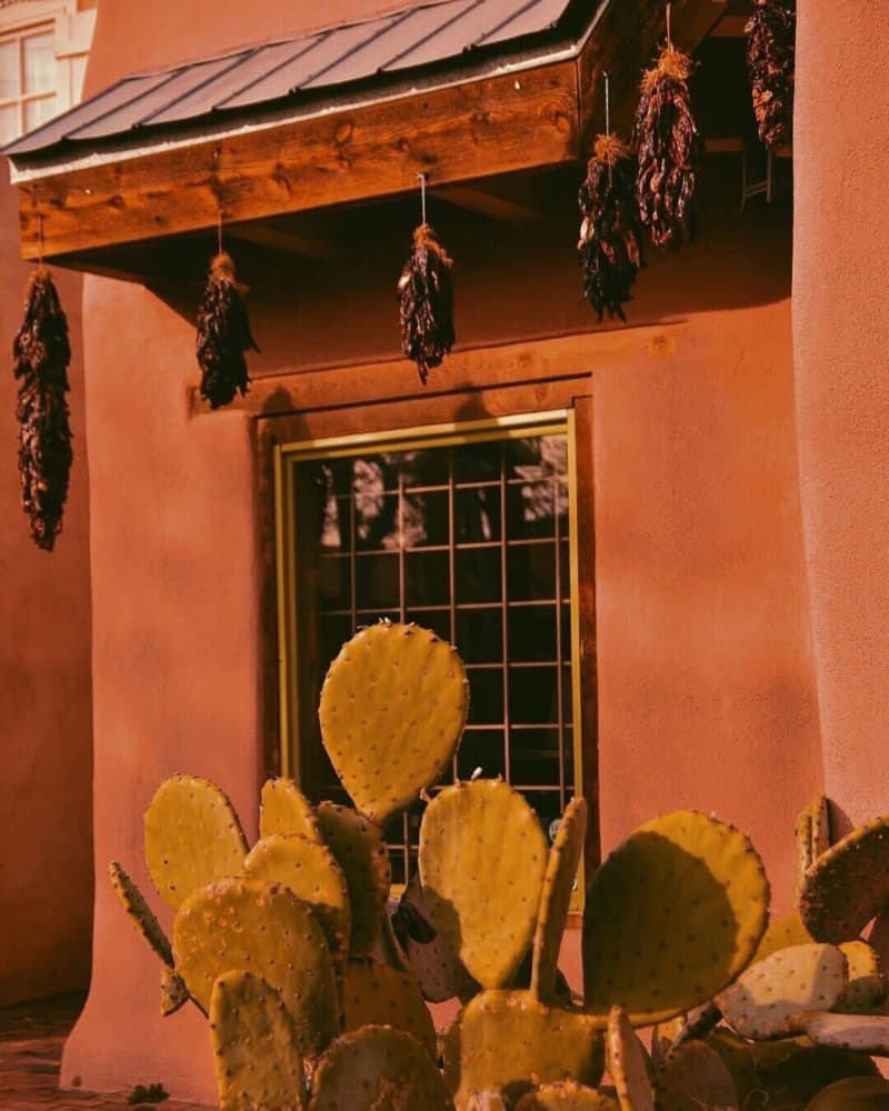 Southwest Adobe and Cactus by Del Mundo Portraits — canvas wall art