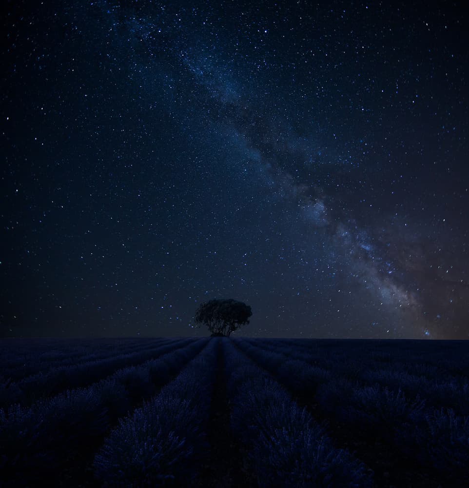 Milky Way Lavender Field by Alejandro Garcia — canvas wall art