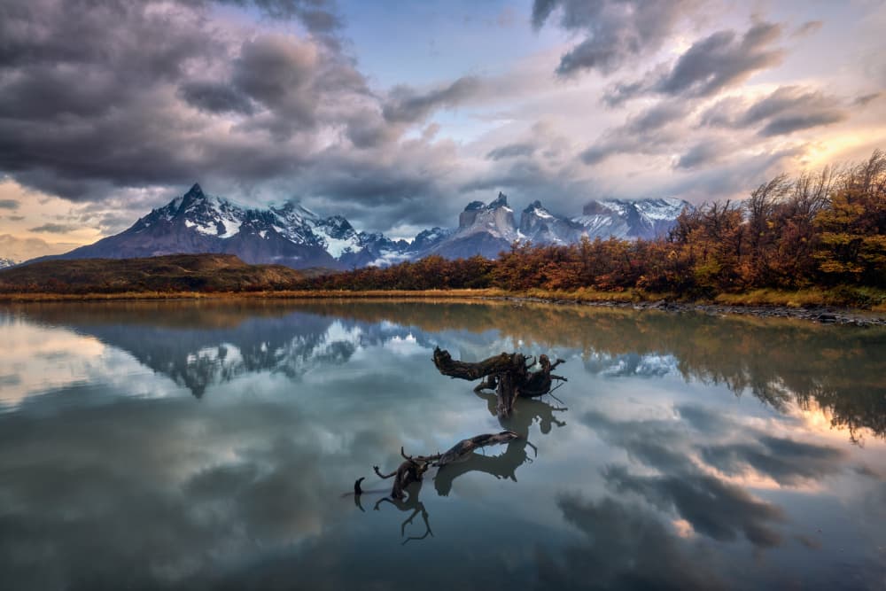 Patagonia Mountain Reflections by Ricardo Gayan — canvas wall art