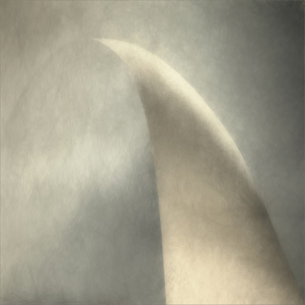 Soft Flowing Form by Gilbert Claes — canvas wall art