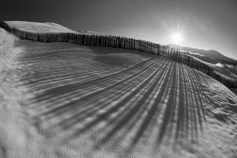 Winter Sun Shadows by Sveduneac Dorin Lucian — canvas wall art