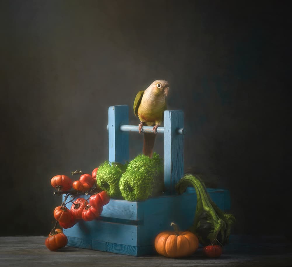 Autumn Parrot Still Life by Catherine Wang — canvas wall art