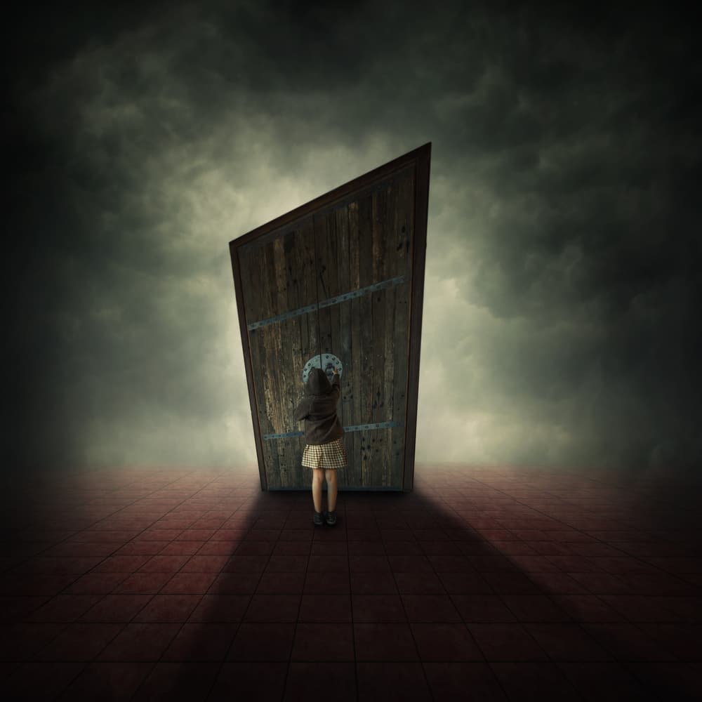 Child at Mysterious Door by hardibudi — canvas wall art