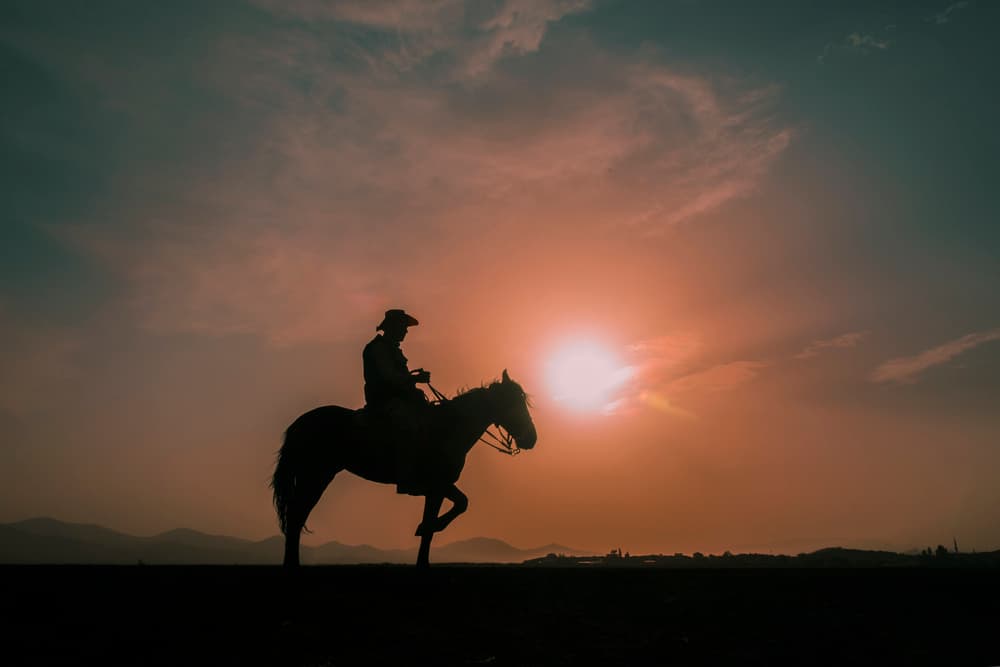Western Rider Sunset by BARKAN TEKDOGAN — canvas wall art