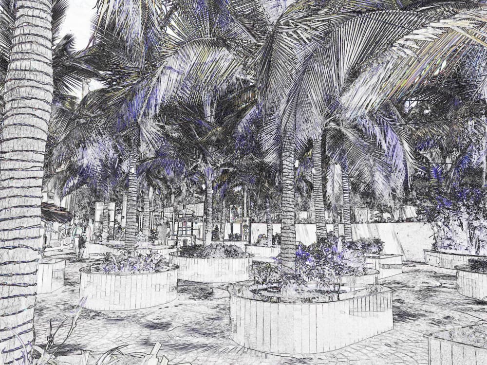 Tropical Garden Sketch by Santhosh ch — canvas wall art