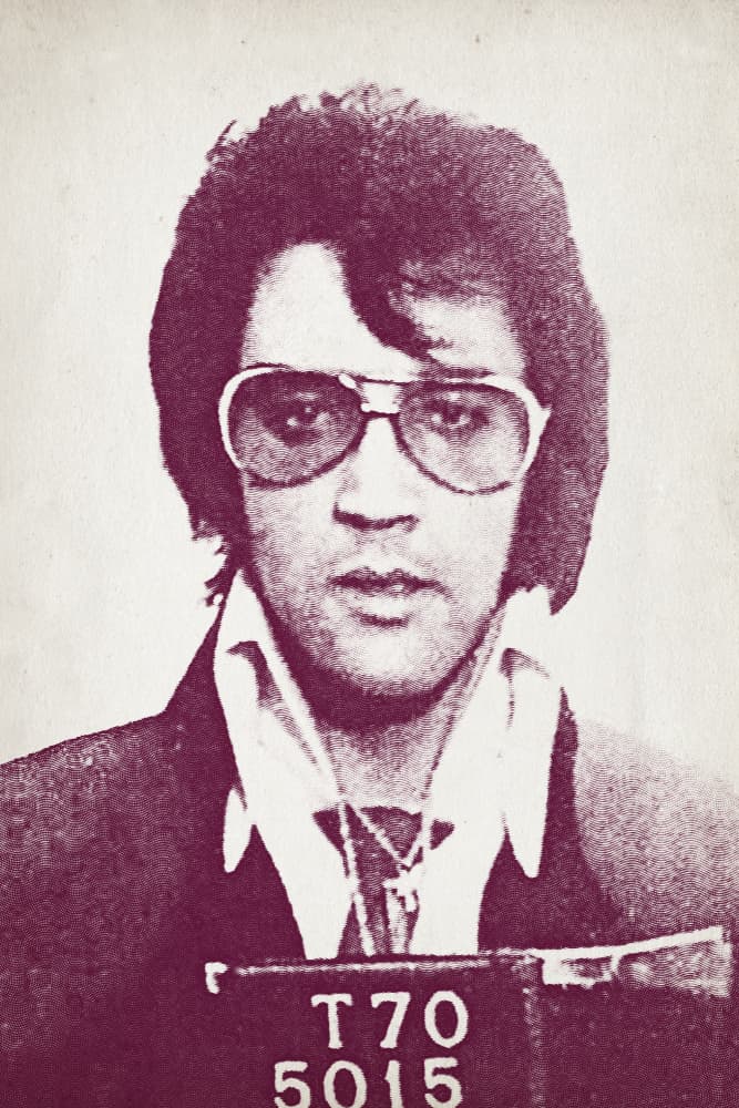 70s Rockstar Mugshot by thomas chedeville — canvas wall art