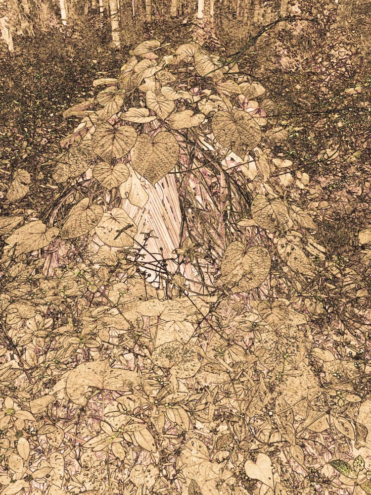 Wild Heart Leaf Vines by Santhosh ch — canvas wall art
