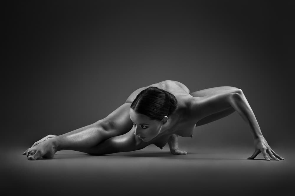 Elegant Nude Form by Bruno Birkhofer — canvas wall art