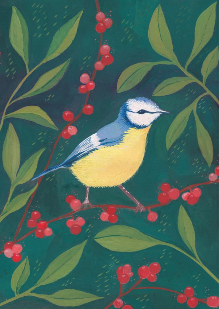Vibrant Blue Tit Berries by Anjana Mistry — canvas wall art