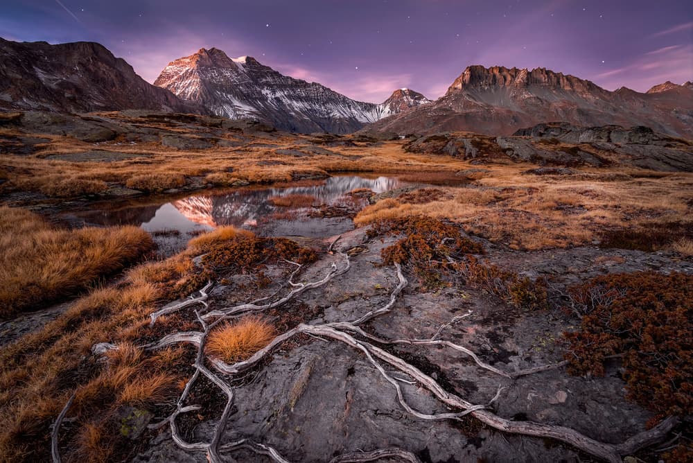Purple Mountain Twilight by Álvaro Pérez & Jose M. Pérez. Brothers — canvas wall art