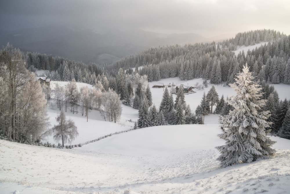 Alpine Winter Landscape by Andreea Selagea — canvas wall art