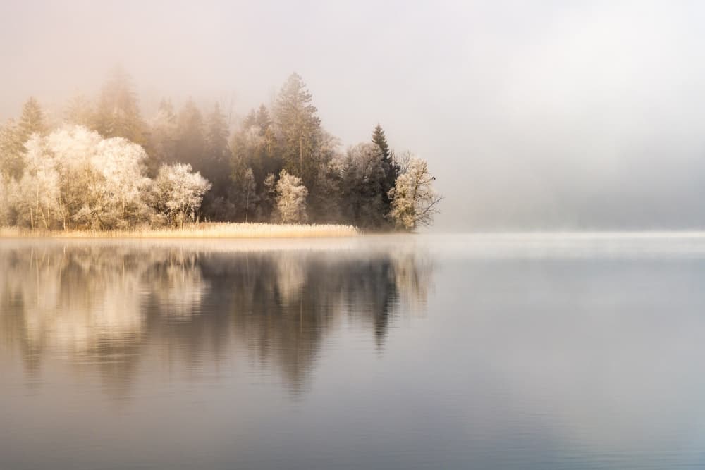 Misty Winter Lake by Amir Ehrlich — canvas wall art