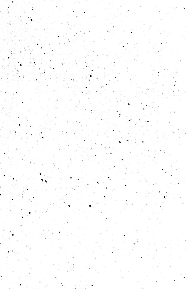Abstract Black Speckle Pattern by Marika Barsrsind — canvas wall art