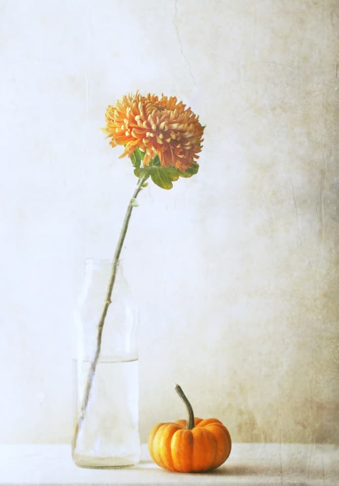 Autumn Mum and Pumpkin by Delphine Devos — canvas wall art