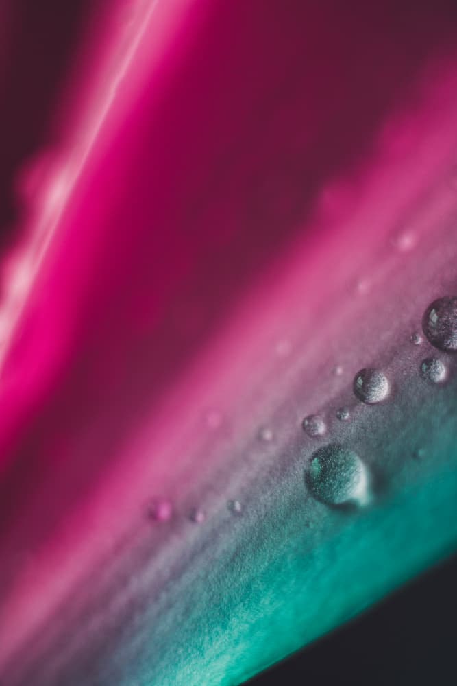 Vibrant Leaf Water Droplets by Javier Pardina — canvas wall art