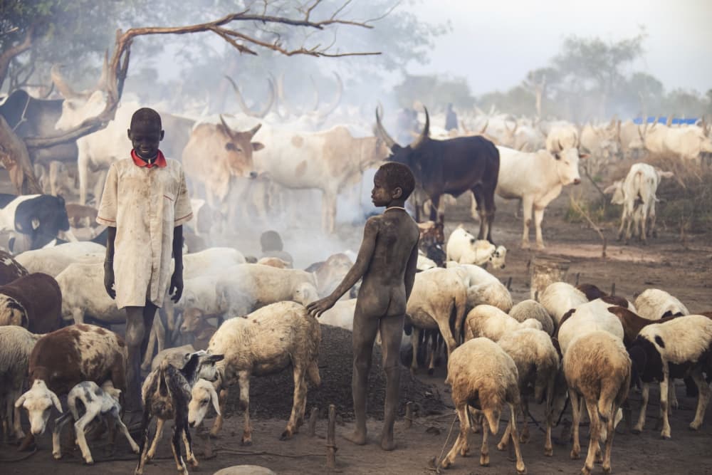 African Herding Boys by Svetlin Yosifov — canvas wall art