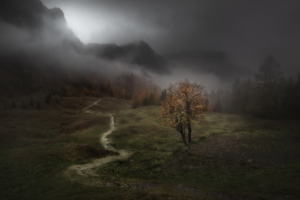 Misty Mountain Path by Filippo Manini — canvas wall art