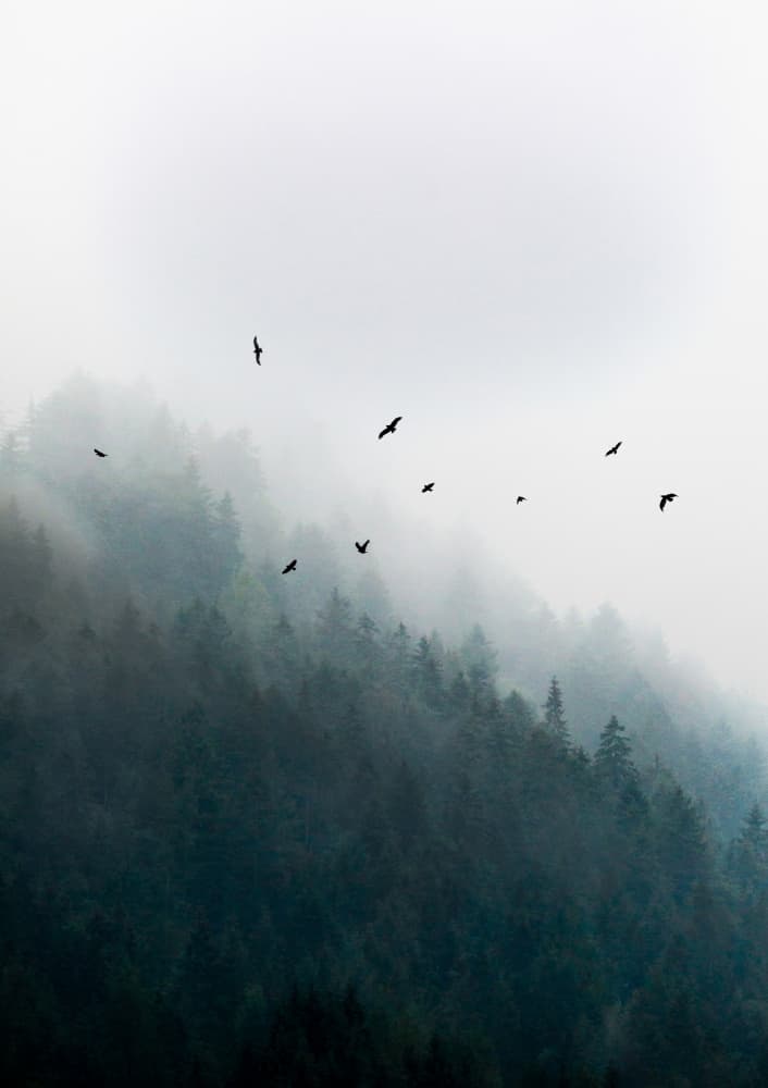 Foggy Morning 4 by Mareike Böhmer — canvas wall art