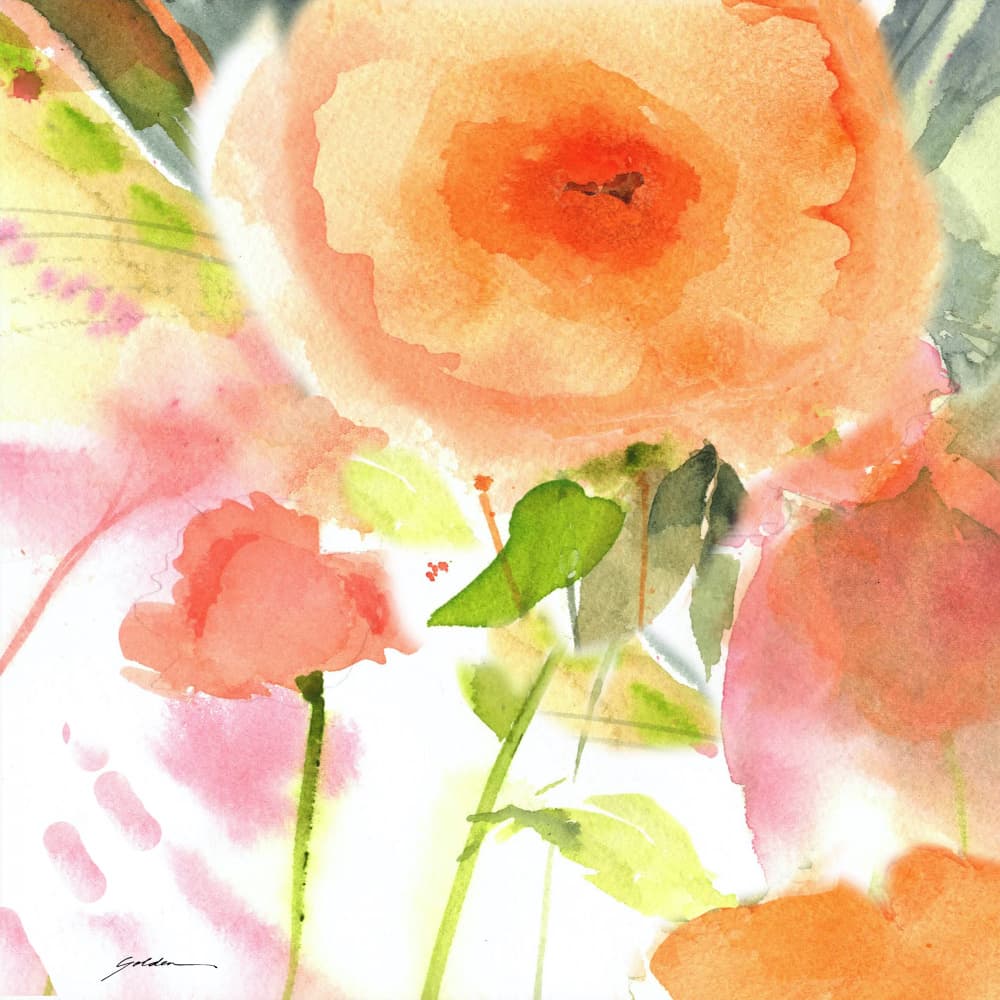 Soft Peach Blooms by Sheila Golden — canvas wall art