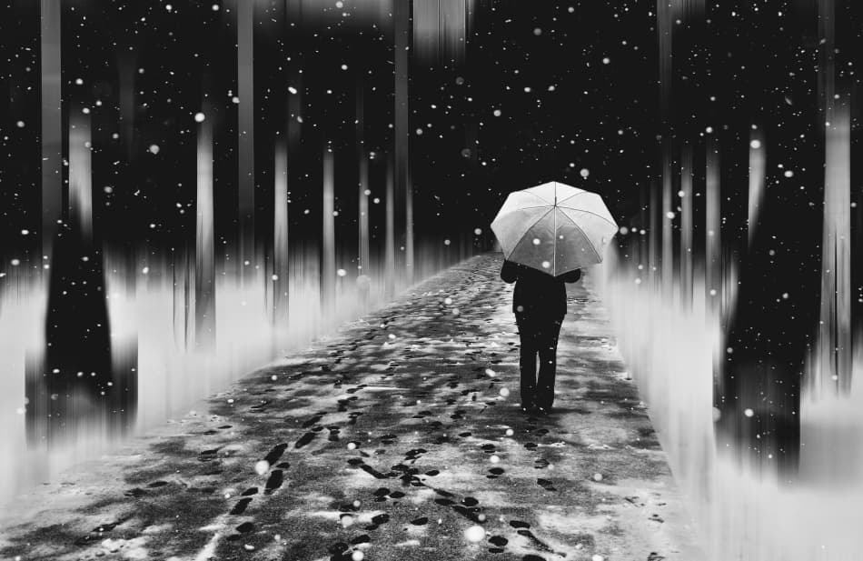 Solitary Umbrella Winter Walk by Samanta Krivec — canvas wall art