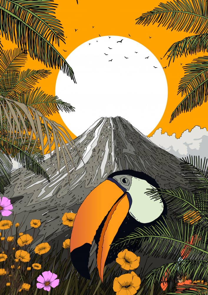 Toucan Jungle Mountain by Nicholas — canvas wall art