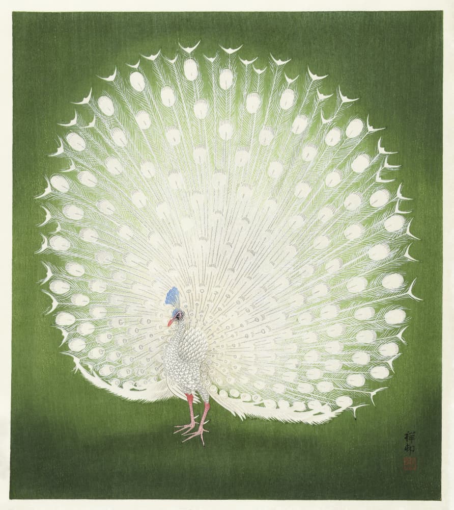 Peacock by Ohara Koson — canvas wall art