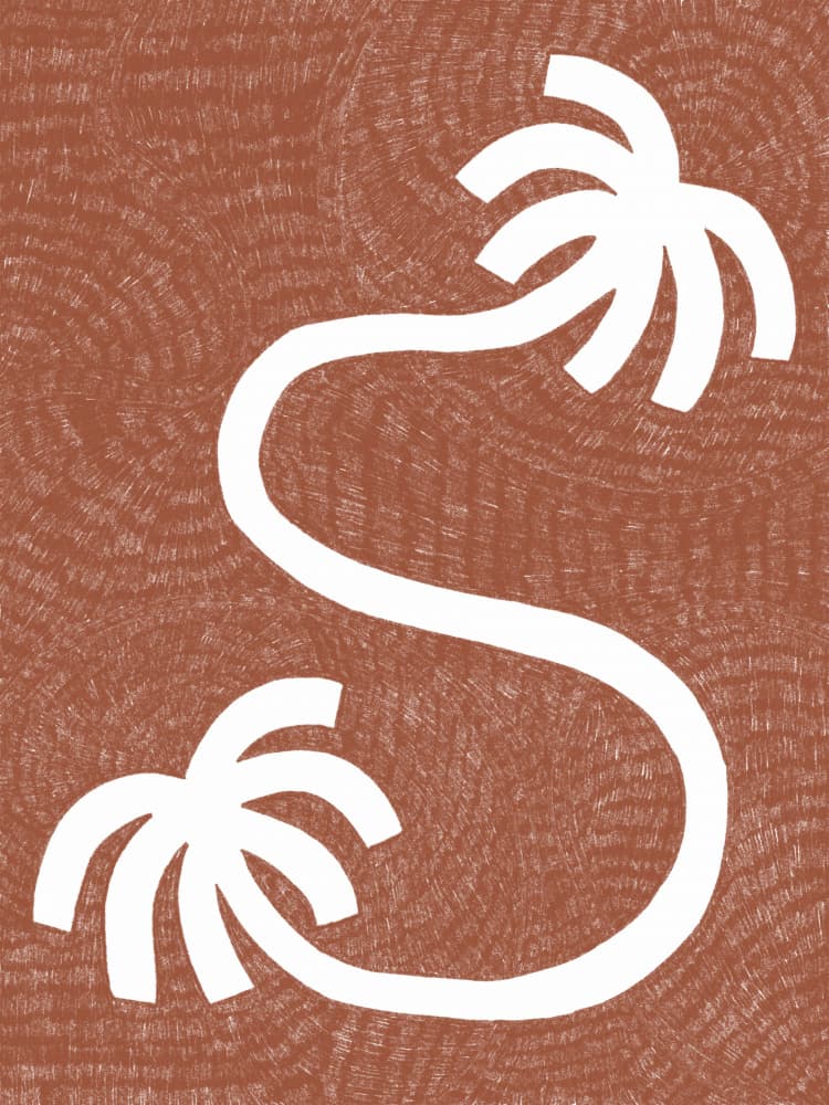 Tropical S-Curve Palms by Shatha Al Dafai — canvas wall art