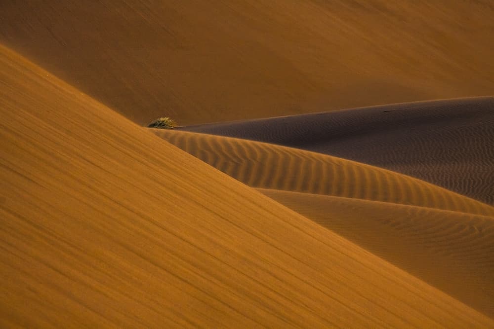 Golden Dune Landscape by Ali Barootkoob — canvas wall art