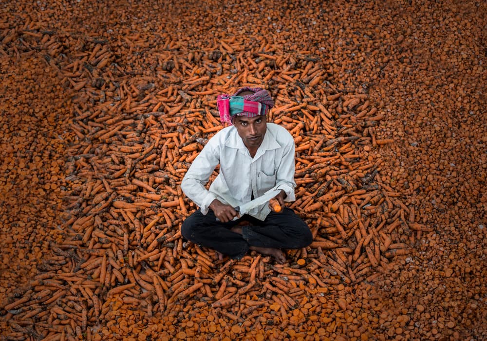 Man Sorting Carrots by Ali Al-Jazeri — canvas wall art