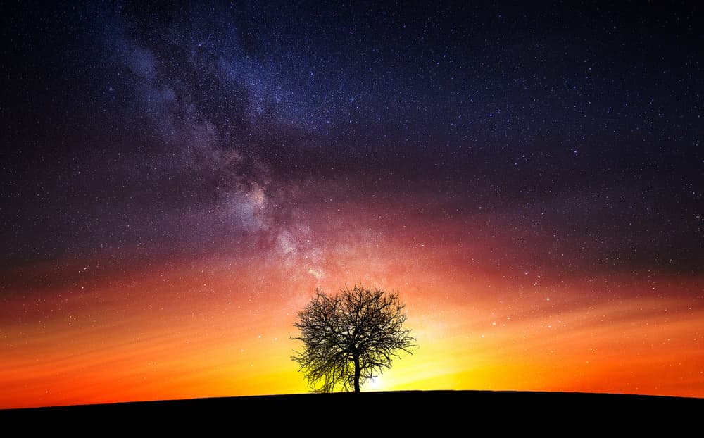 Lone Tree Milky Way by Bess Hamiti — canvas wall art