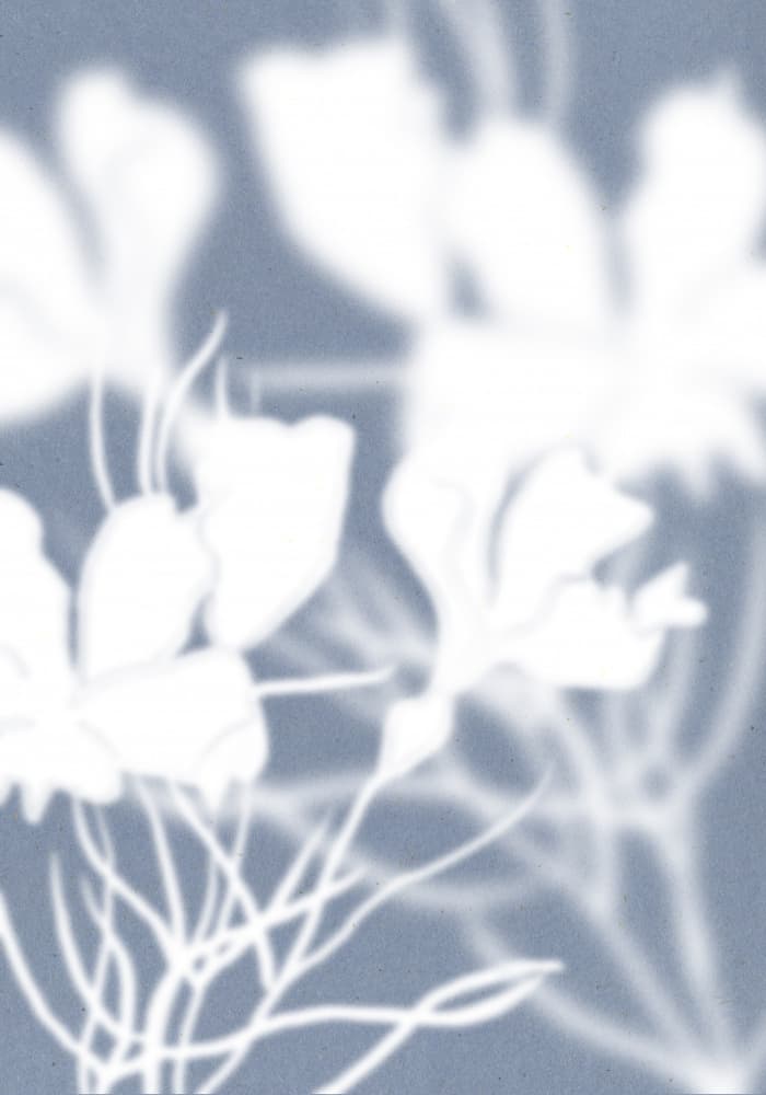 Ethereal Floral Silhouettes by THE MIUUS STUDIO — canvas wall art