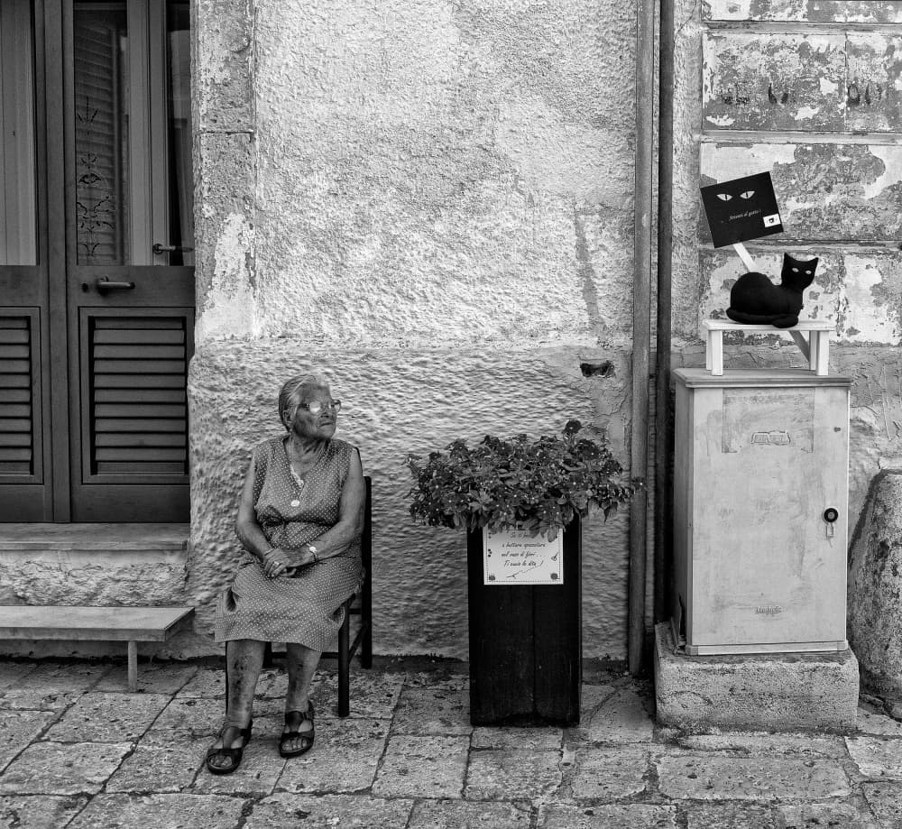 Old Woman Black Cat Street by Lorenzo Grifantini — canvas wall art