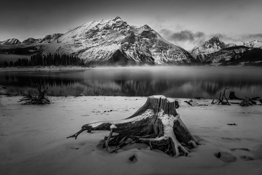 Winter Lake Stump by Lisa Zhang — canvas wall art