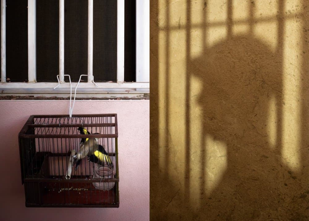 Bird Cage Barred Shadow by Miguel Angel Franco Dana — canvas wall art