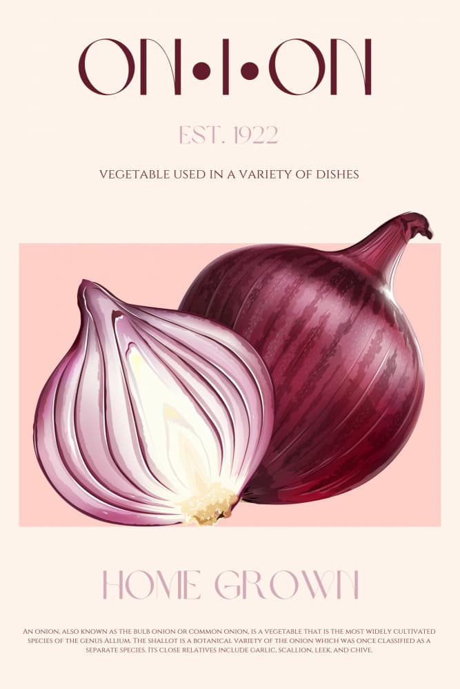 Onion Elegance by Nazma Khokhar — canvas wall art