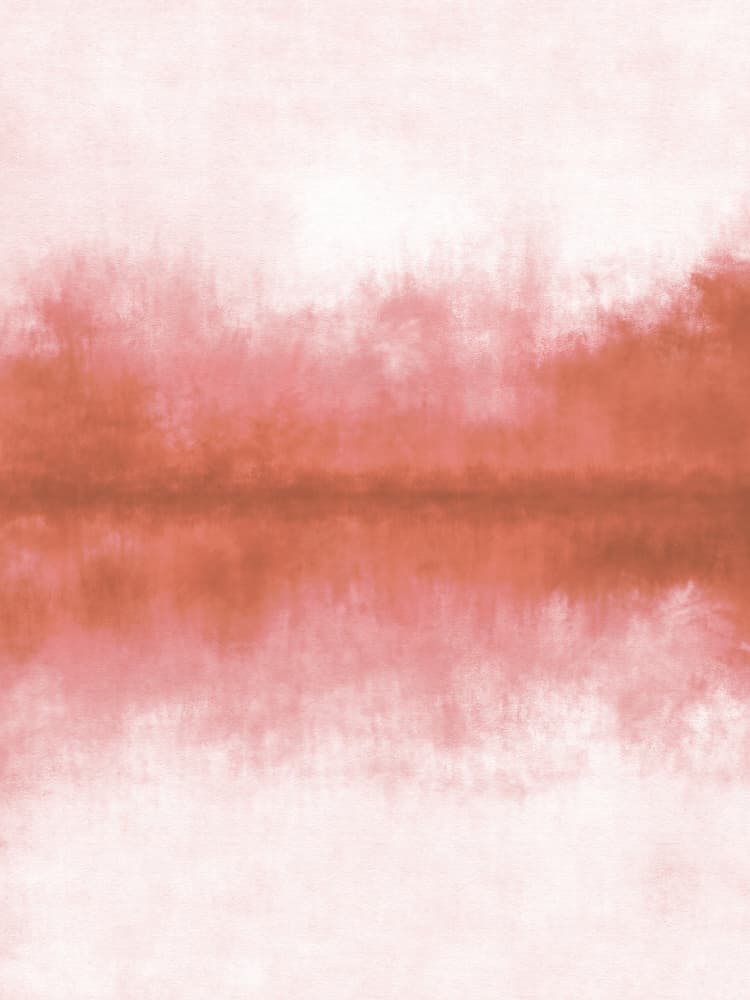 Soft Pink Reflection by Dina Dankers — canvas wall art