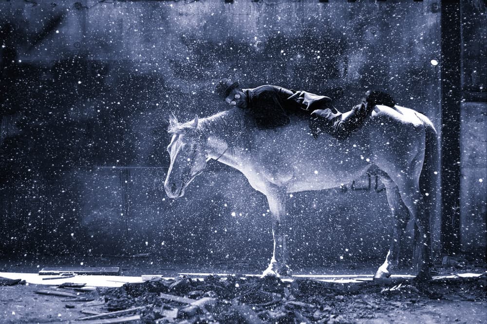 Man on Horse Snowfall by Yuri Shepelev — canvas wall art