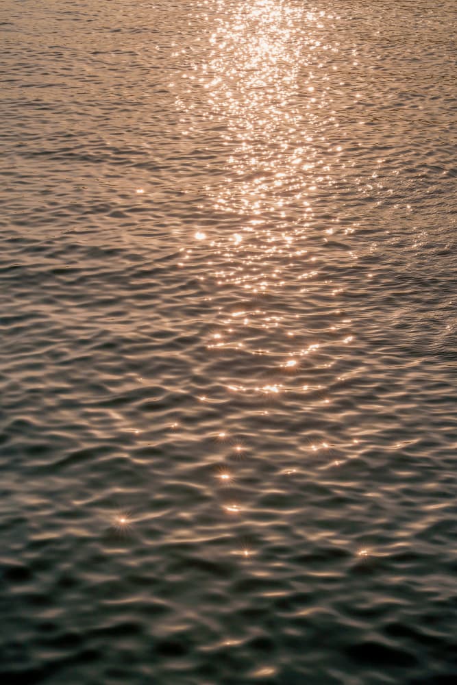 Golden Water Shimmer by Henrike Schenk — canvas wall art