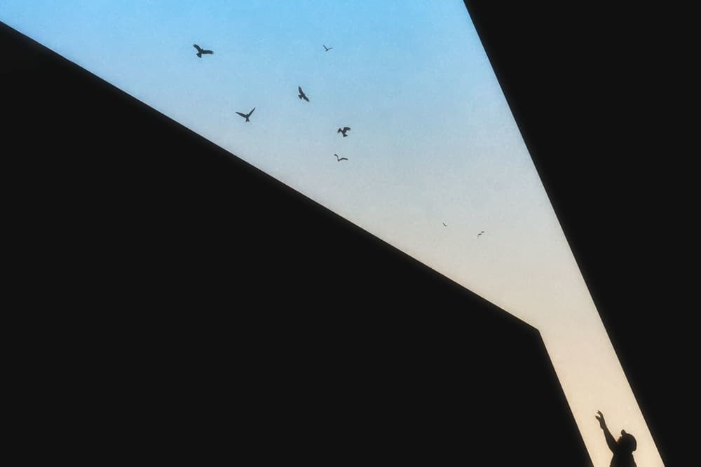 Reaching For Freedom by Ahmed Abdulazim — canvas wall art