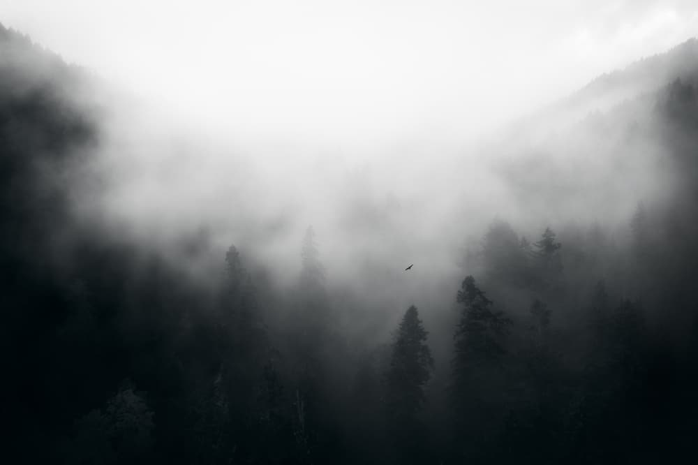 Misty Forest Mountains by Gerald Macua — canvas wall art